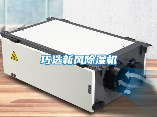 巧选新风91免费网站在线观看