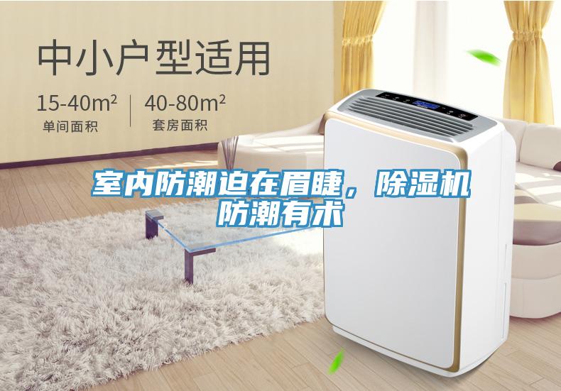 室内防潮迫在眉睫，91免费网站在线观看防潮有术