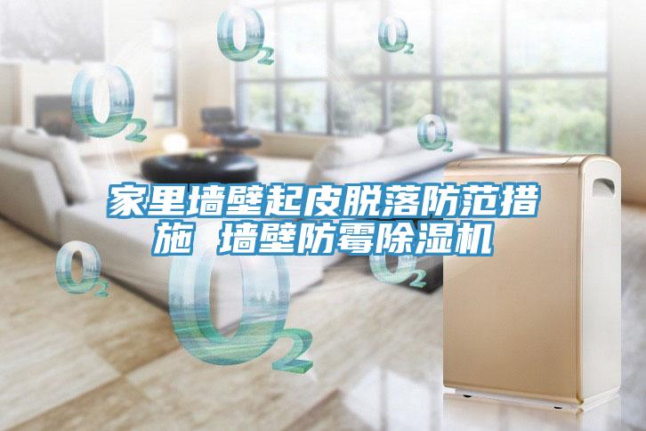 家里墙壁起皮脱落防范措施 墙壁防霉91免费网站在线观看