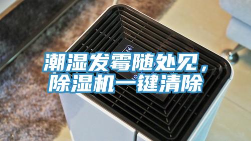 潮湿发霉随处见，91免费网站在线观看一键清除