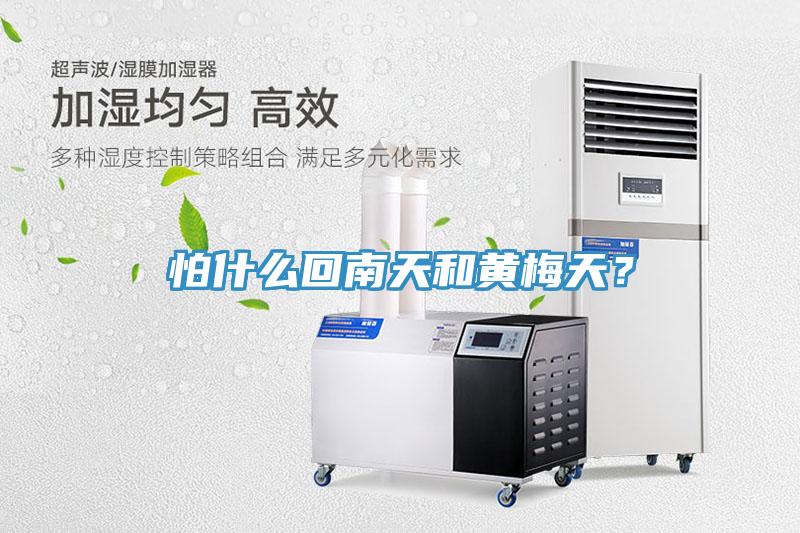 怕什么回南天和黄梅天？
