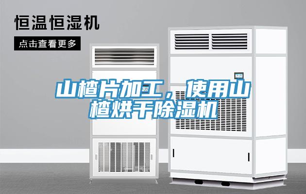 山楂片加工，使用山楂烘干91免费网站在线观看