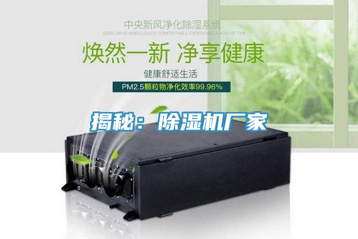 揭秘：91免费网站在线观看厂家