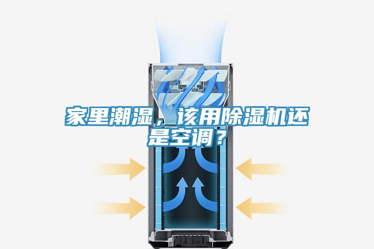 家里潮湿，该用91免费网站在线观看还是空调？