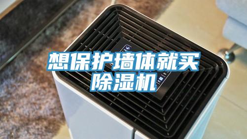 想保护墙体就买91免费网站在线观看