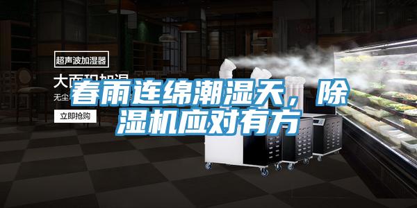 春雨连绵潮湿天，91免费网站在线观看应对有方