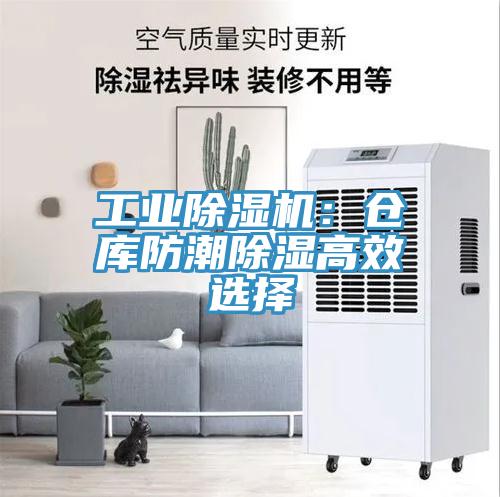 工业91免费网站在线观看：仓库防潮除湿高效选择