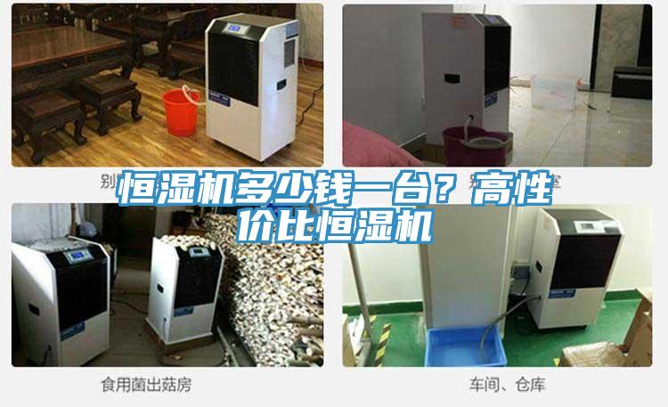 恒湿机多少钱一台？高性价比恒湿机