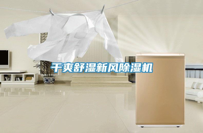 干爽舒湿新风91免费网站在线观看