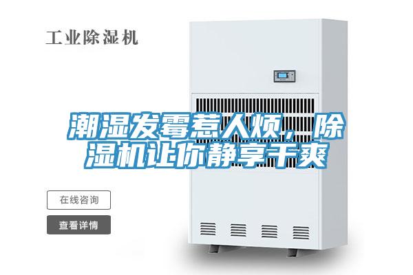 潮湿发霉惹人烦，91免费网站在线观看让你静享干爽