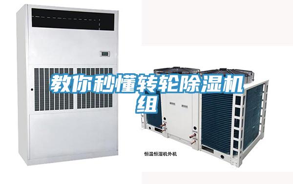 教你秒懂转轮91免费网站在线观看组