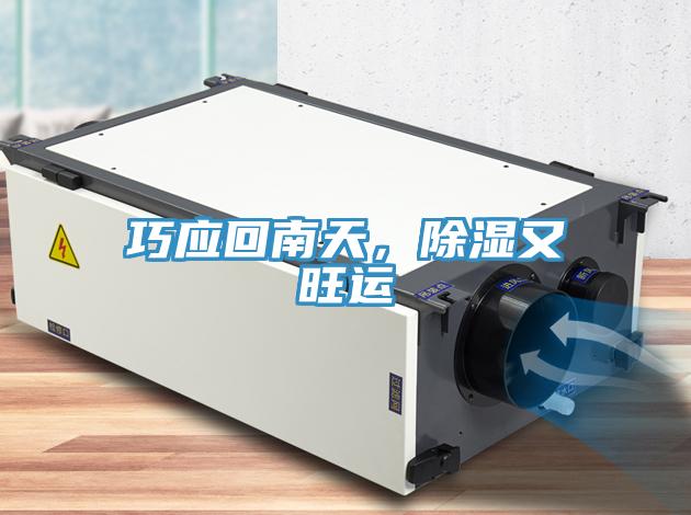 巧应回南天，除湿又旺运