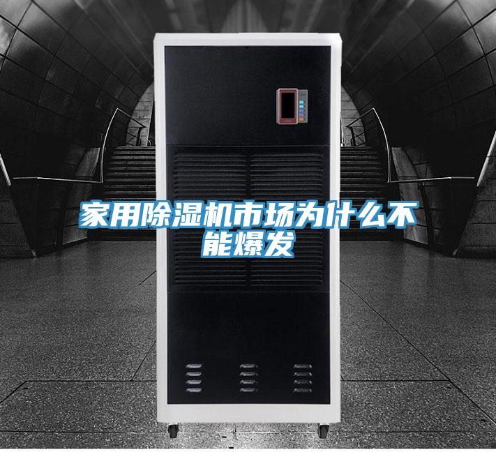 家用91免费网站在线观看市场为什么不能爆发