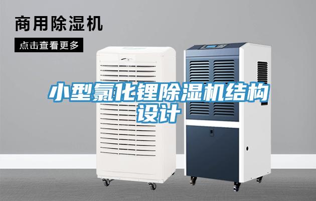 小型氯化锂91免费网站在线观看结构设计