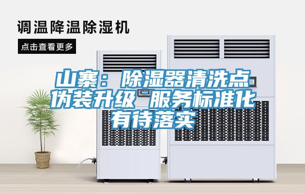 山寨：除湿器清洗点伪装升级 服务标准化有待落实