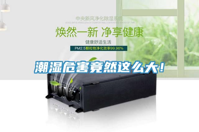 潮湿危害竟然这么大！
