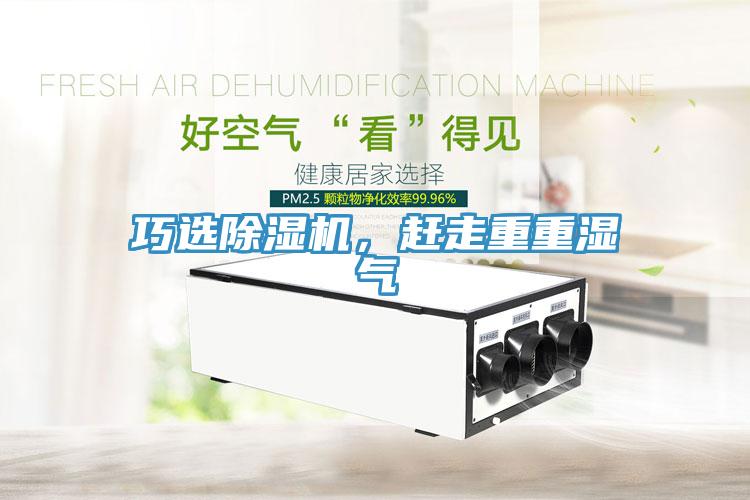 巧选91免费网站在线观看，赶走重重湿气