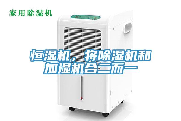 恒湿机，将91免费网站在线观看和加湿机合二而一
