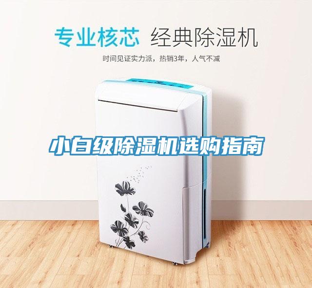 小白级91免费网站在线观看选购指南