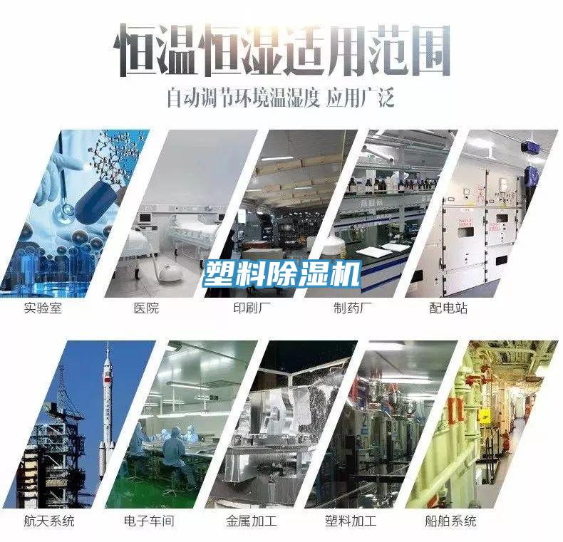 塑料91免费网站在线观看