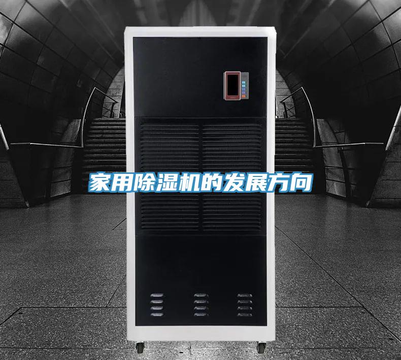 家用91免费网站在线观看的发展方向