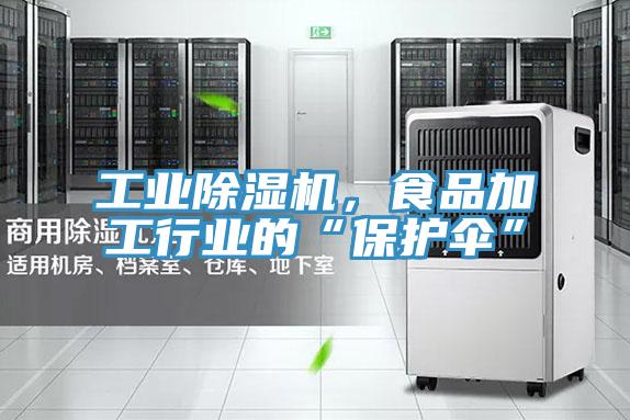 工业91免费网站在线观看，食品加工行业的“保护伞”