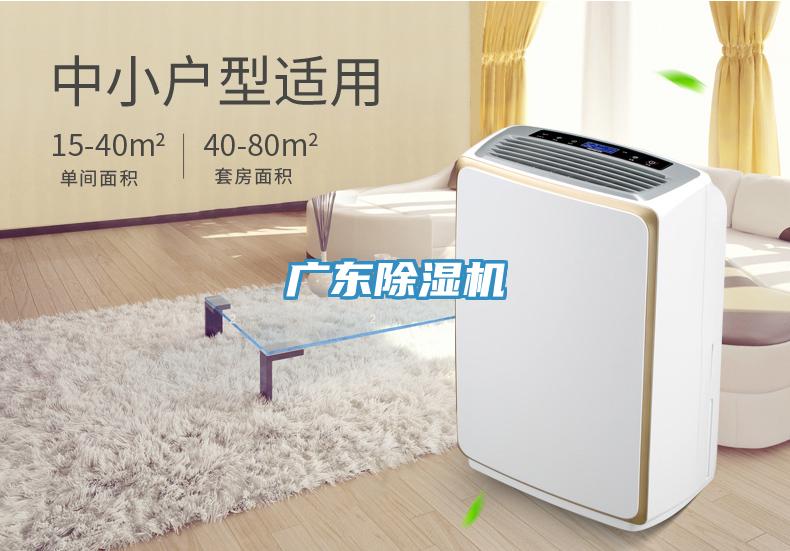 广东91免费网站在线观看