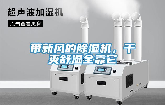 带新风的91免费网站在线观看，干爽舒湿全靠它