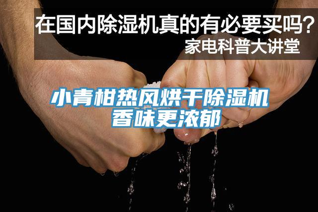 小青柑热风烘干91免费网站在线观看 香味更浓郁