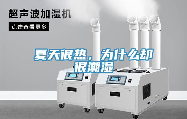 夏天很热，为什么却很潮湿