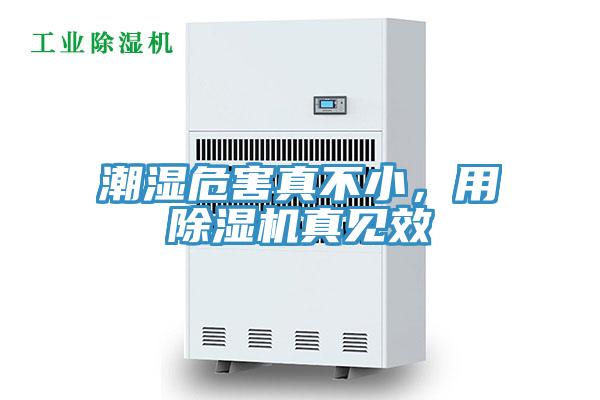 潮湿危害真不小，用91免费网站在线观看真见效