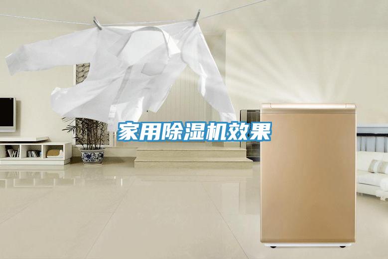 家用91免费网站在线观看效果