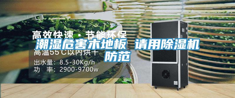 潮湿危害木地板 请用91免费网站在线观看防范