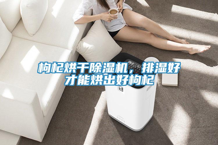 枸杞烘干91免费网站在线观看，排湿好才能烘出好枸杞