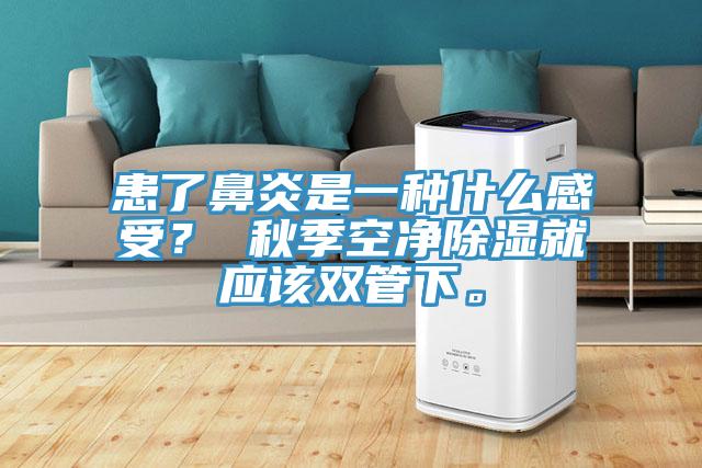 患了鼻炎是一种什么感受？ 秋季空净除湿就应该双管下。