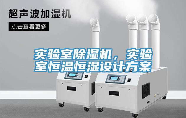实验室91免费网站在线观看，实验室恒温恒湿设计方案