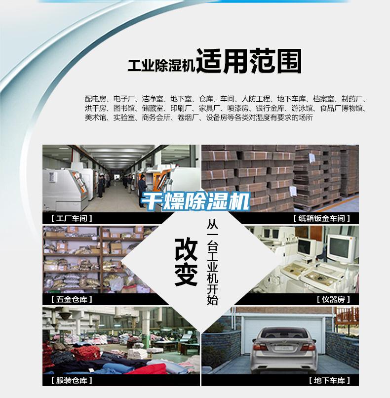 干燥91免费网站在线观看