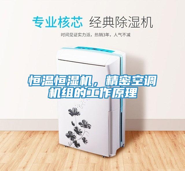 恒温恒湿机，精密空调机组的工作原理