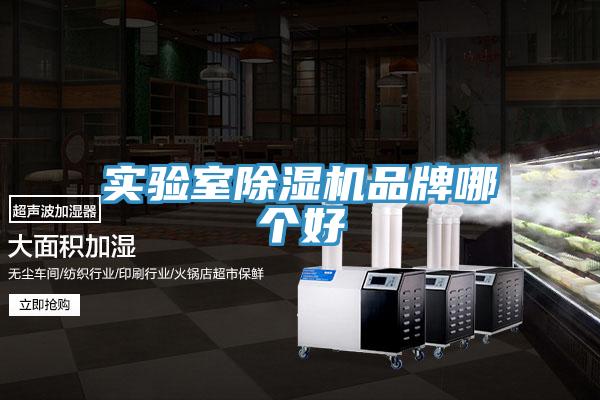 实验室91免费网站在线观看品牌哪个好