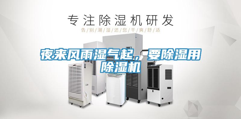 夜来风雨湿气起，要除湿用91免费网站在线观看