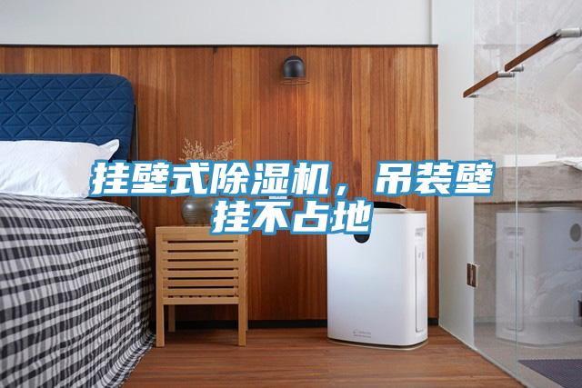 挂壁式91免费网站在线观看，吊装壁挂不占地