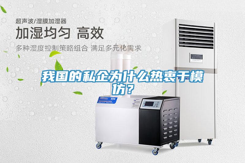 我国的私企为什么热衷于模仿？