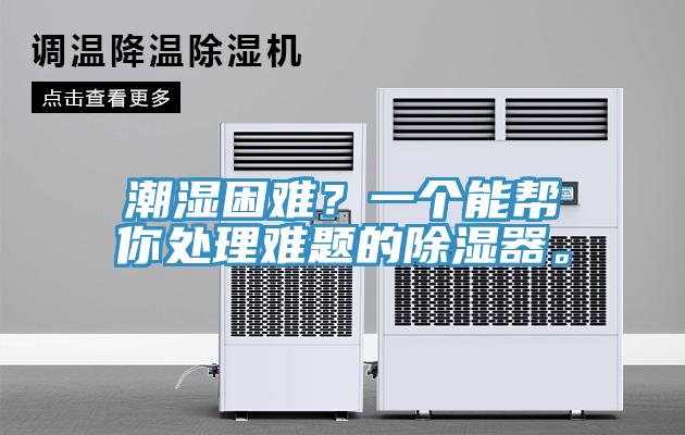 潮湿困难？一个能帮你处理难题的除湿器。