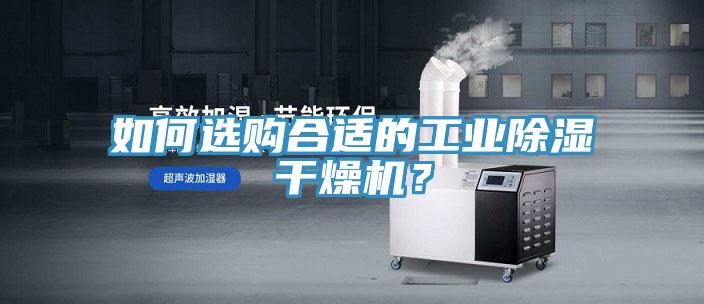 如何选购合适的工业除湿干燥机？