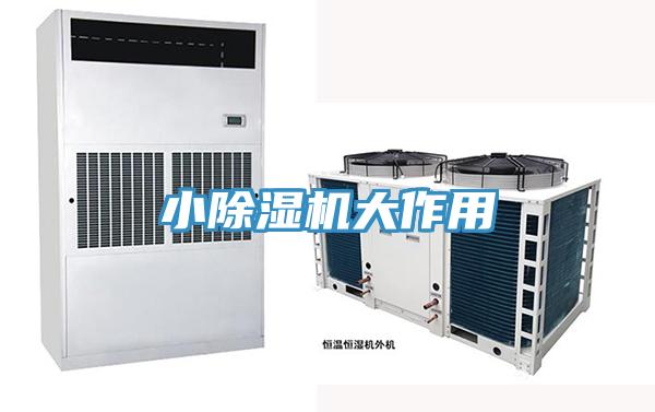 小91免费网站在线观看大作用