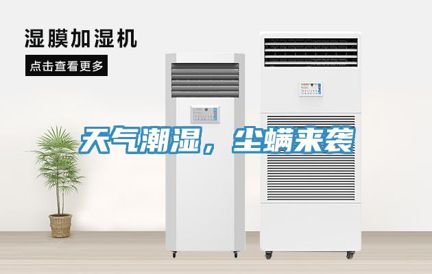 天气潮湿，尘螨来袭