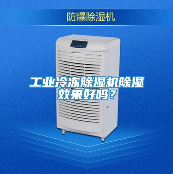 工业冷冻91免费网站在线观看除湿效果好吗？