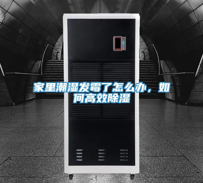家里潮湿发霉了怎么办，如何高效除湿
