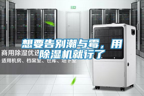 想要告别潮与霉，用91免费网站在线观看就行了