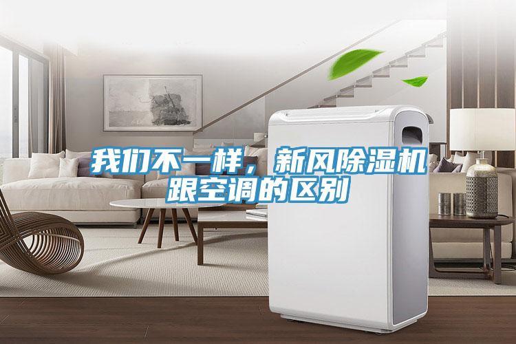 91免费看黄片不一样，新风91免费网站在线观看跟空调的区别